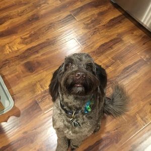 Meet your Posher, Brian